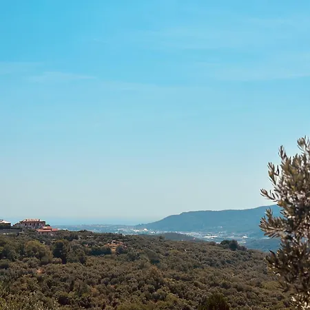 Διαμέρισμα Vitis *